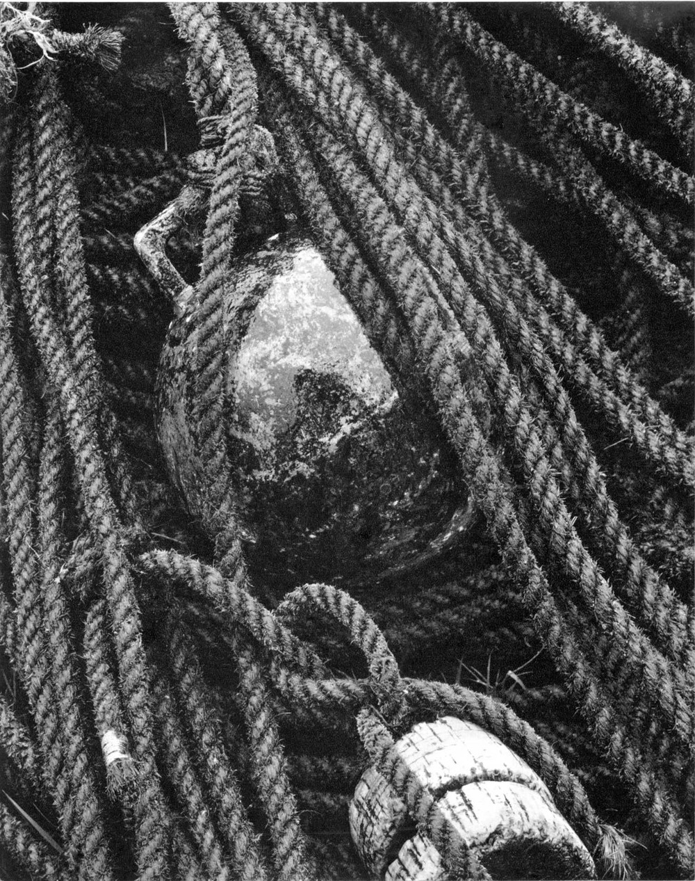 ropes_and_buoy_ps.jpg