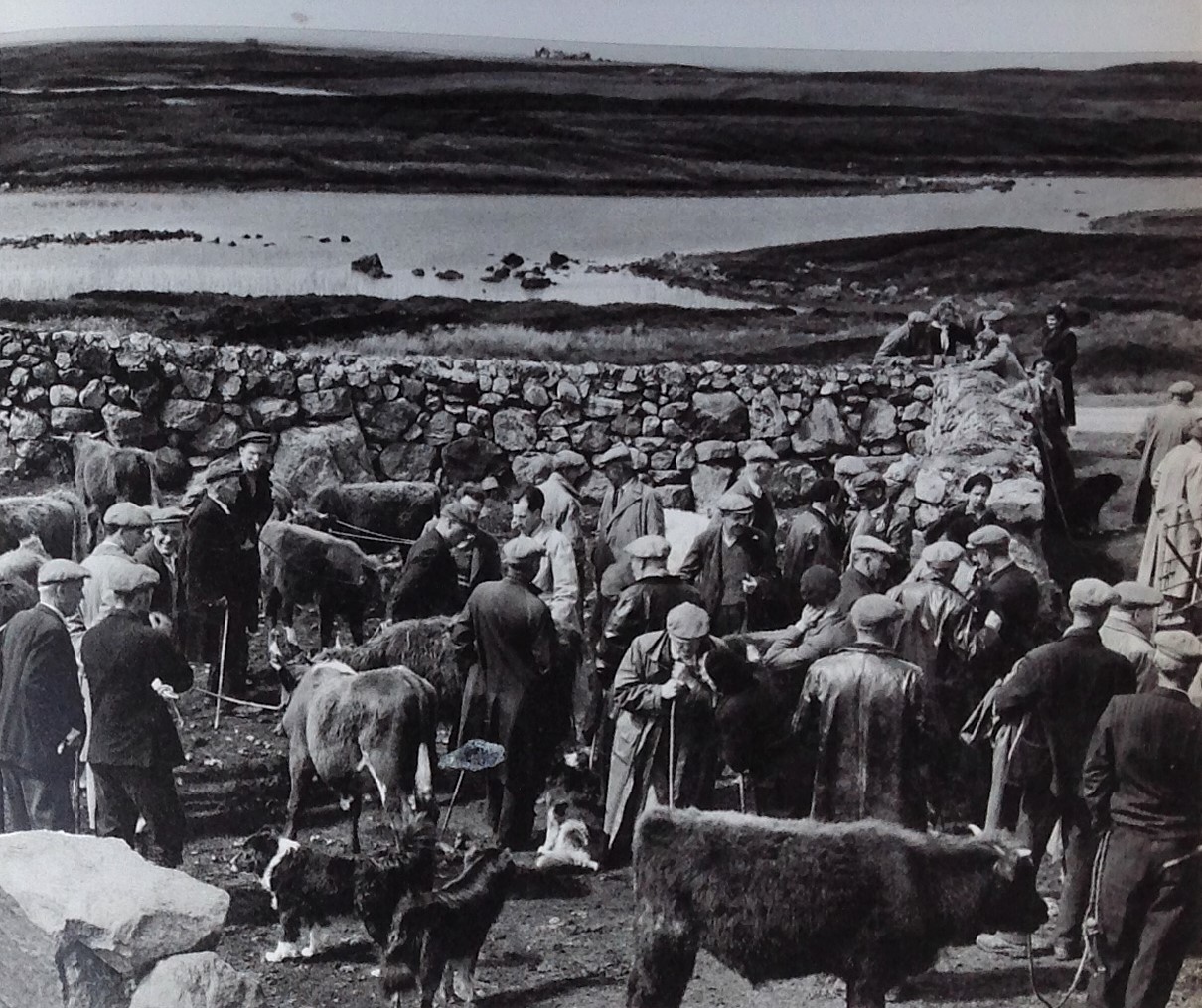 Cattle sale, Loch Ollay. Paul Strand, 1962