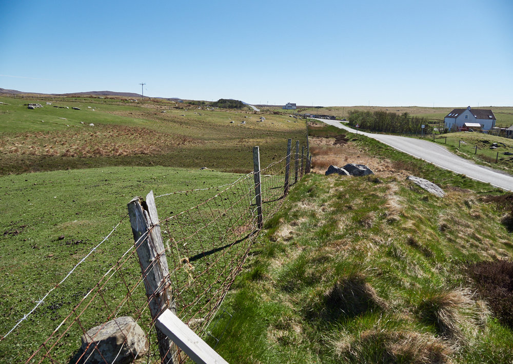 Sheep on the moor MF 1.jpg