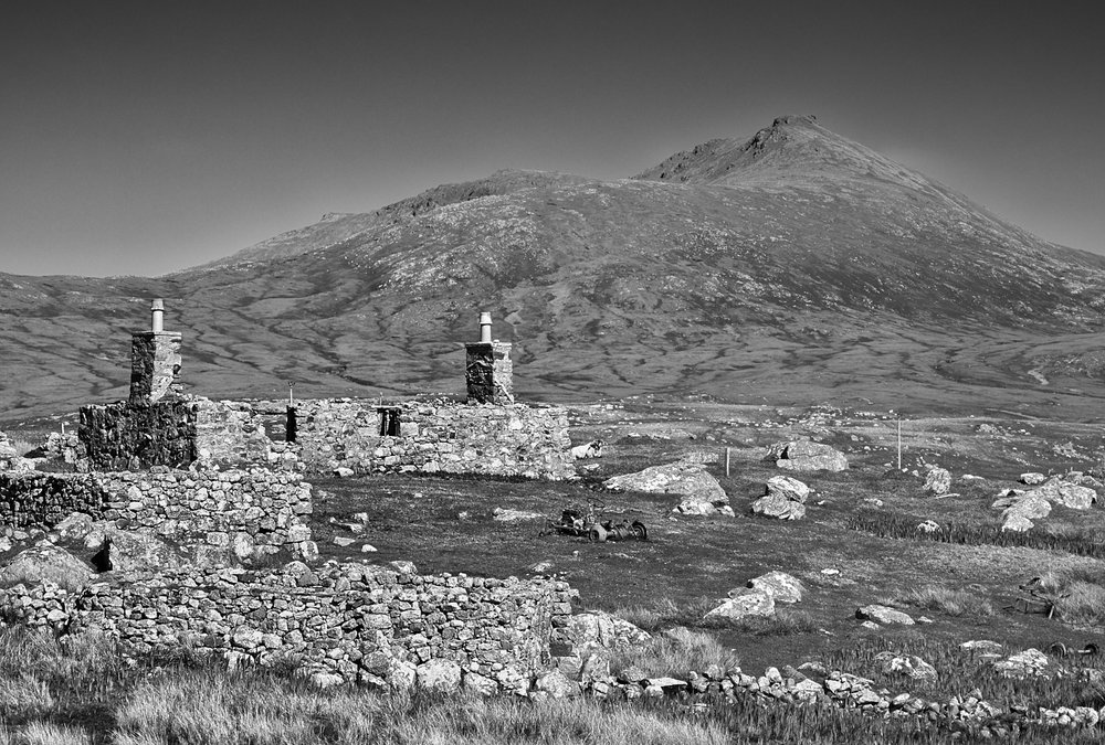 Sheep on the moor MF 8.jpg