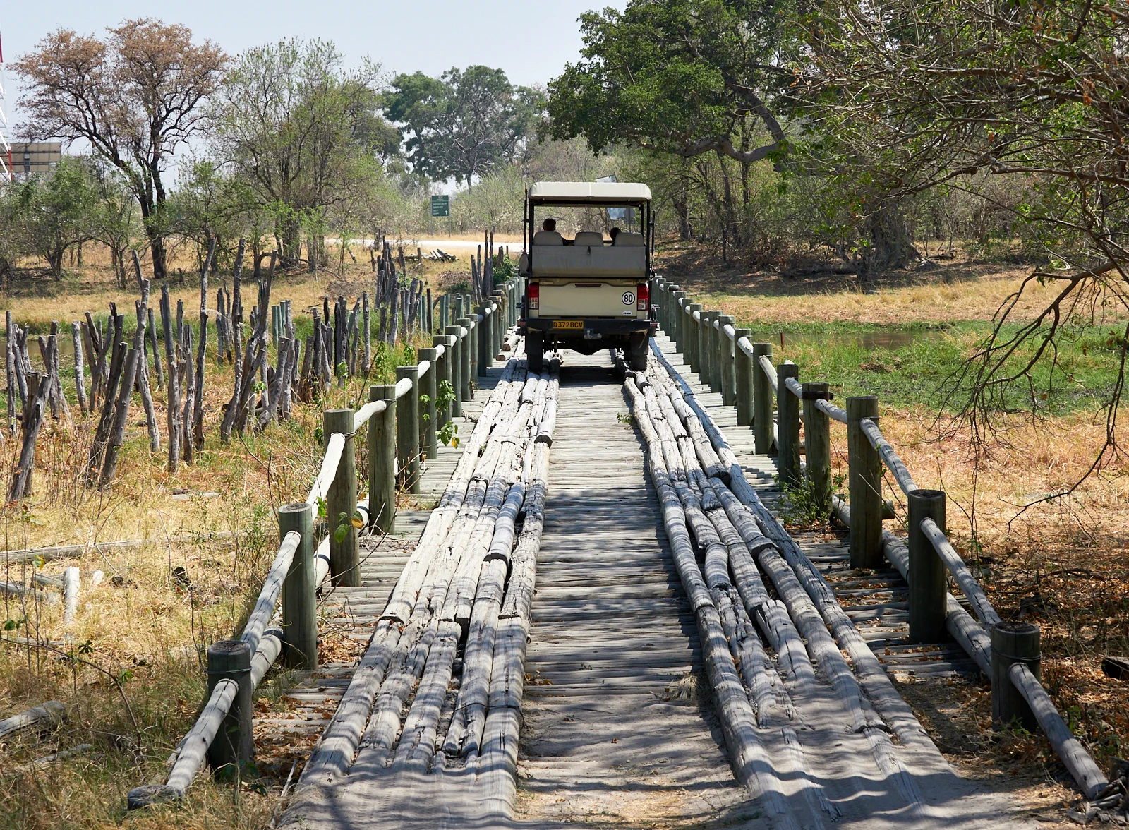 Crossing the rickety pole bridge across the largely-dry marsh in to the Moremi reserve