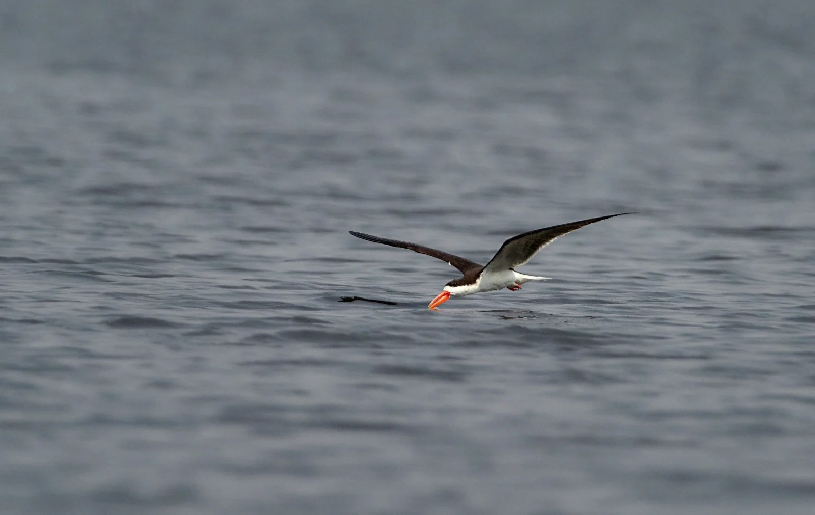 Skimming