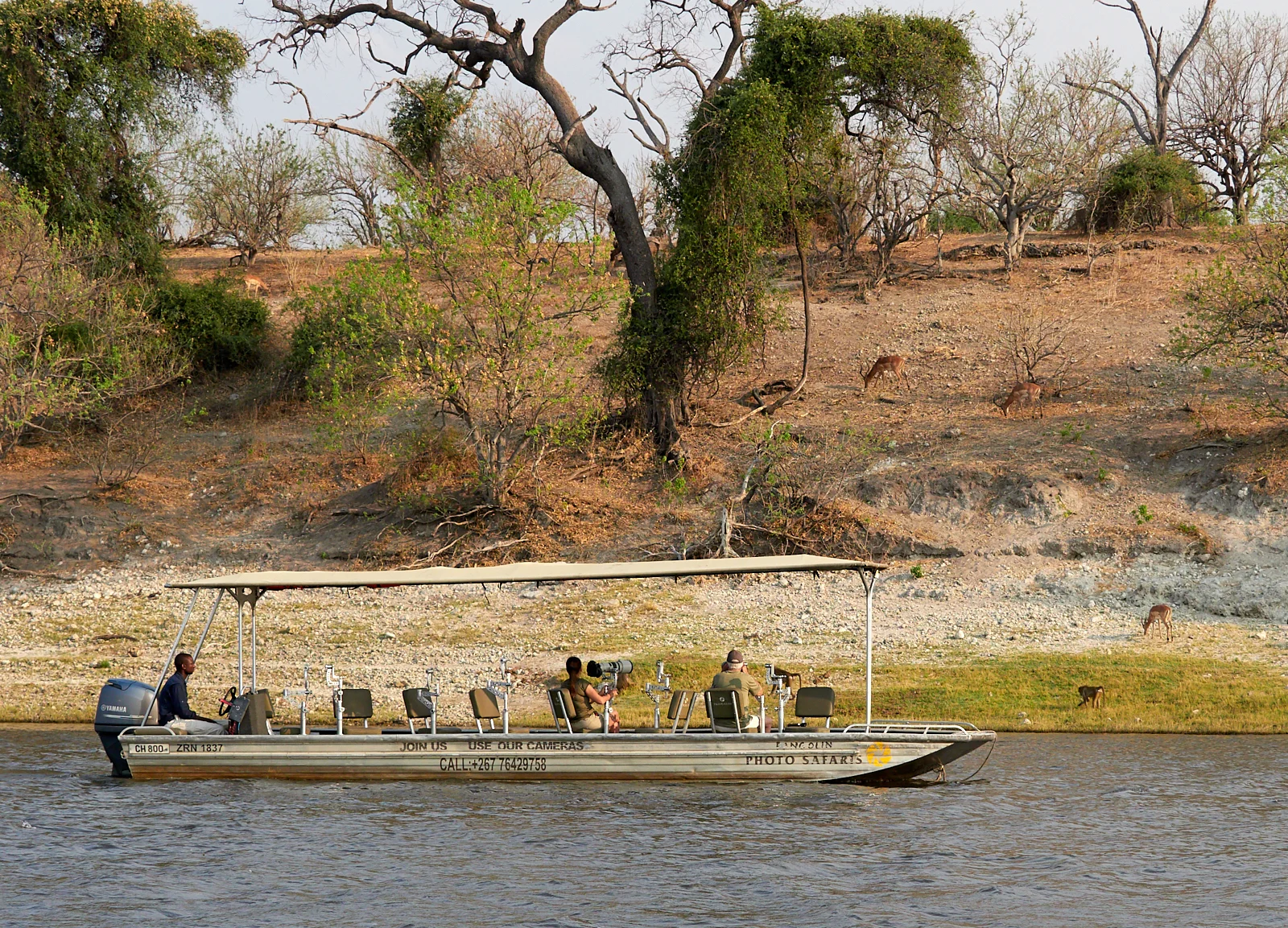 Pangolin photo boat