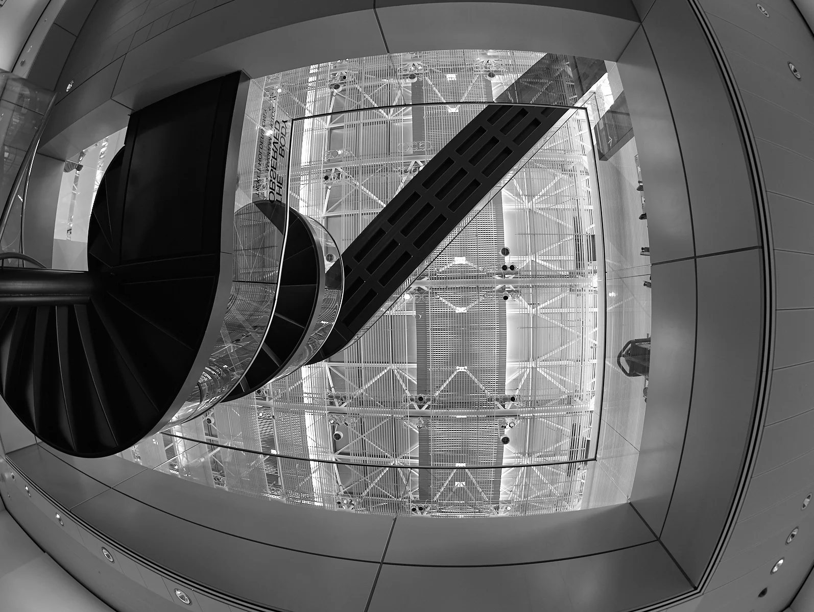 The body observed 1600x1200 sRGB 1.jpg