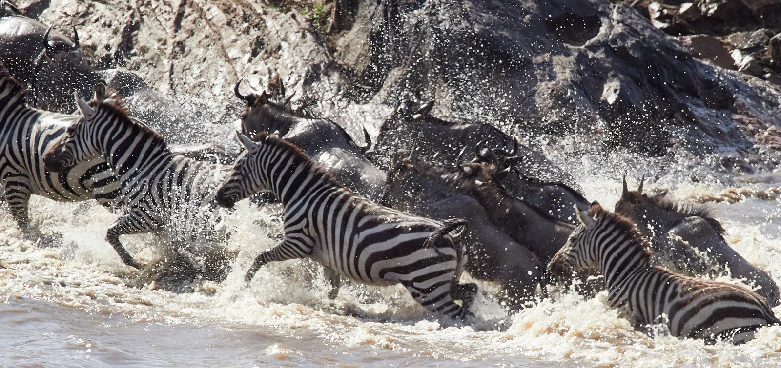 Rushing up the beach