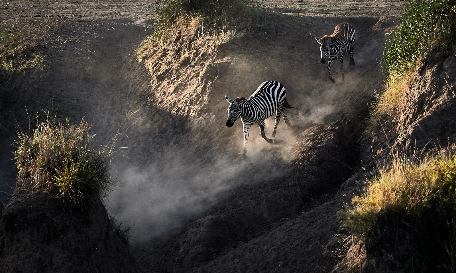 Down the dusty chute 1600x1200 sRGB.jpg