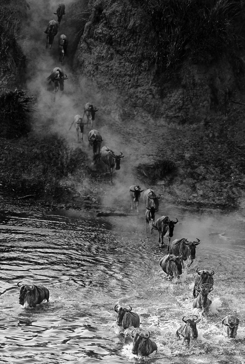 Early crossing from the dust 1600x1200 sRGB.jpg