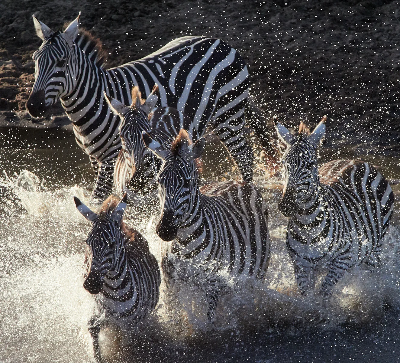 Sparkling crossing 2 1600x1200 sRGB.jpg