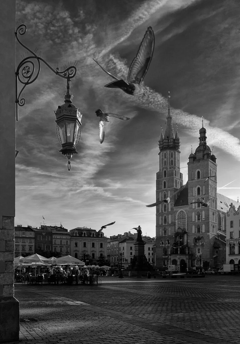 Pigeons, Rynek Główny