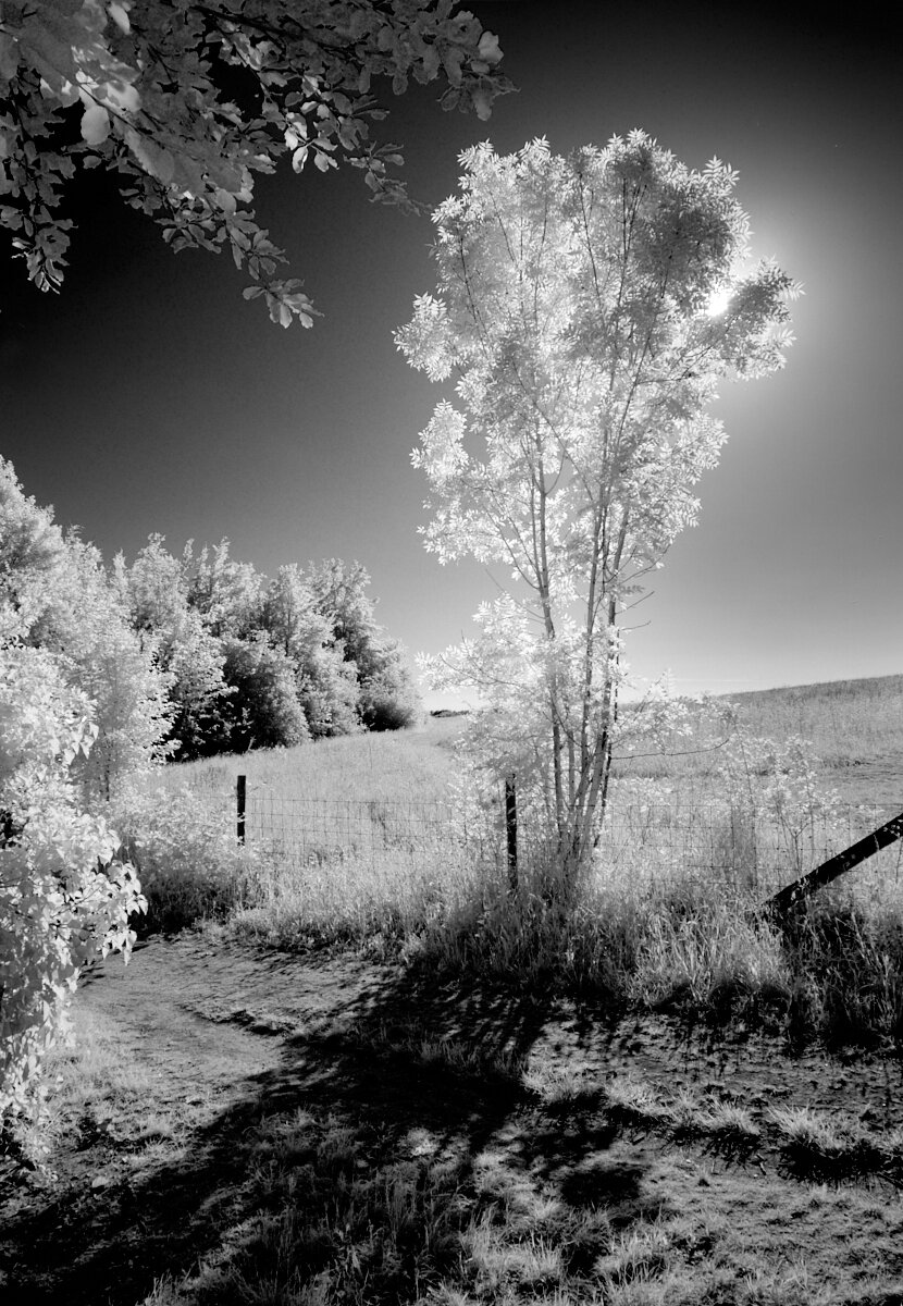 Glow 1600x1200 sRGB 1.jpg