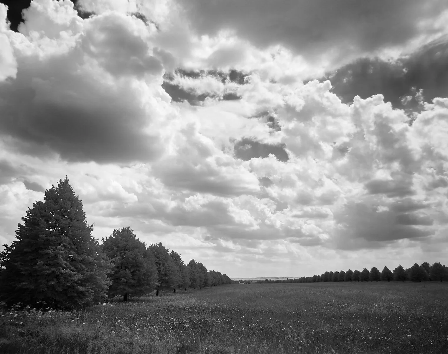 The Avenue Club 1600 x 1200 sRGB 1.jpg