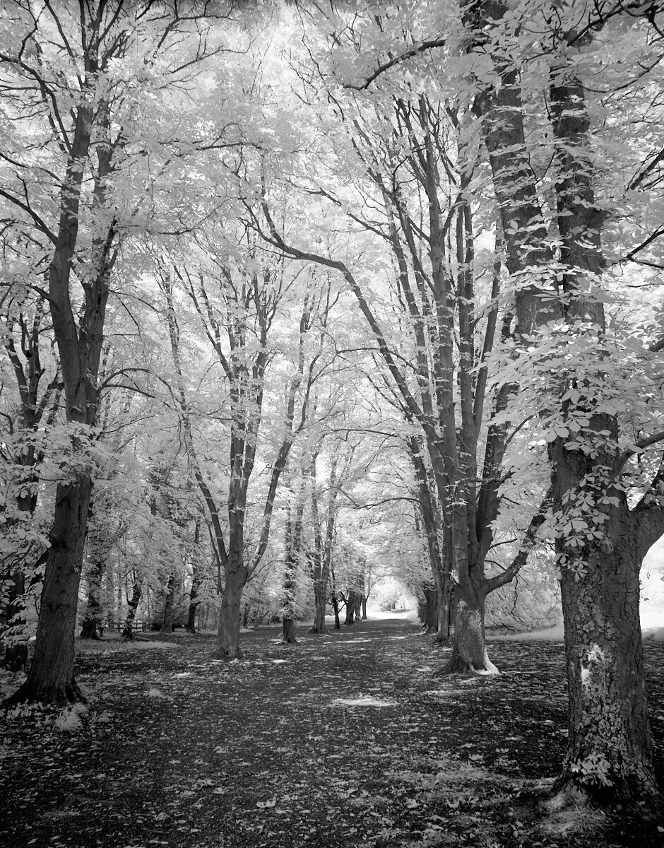 Avenue 2 Club 1600 x 1200 sRGB.jpg