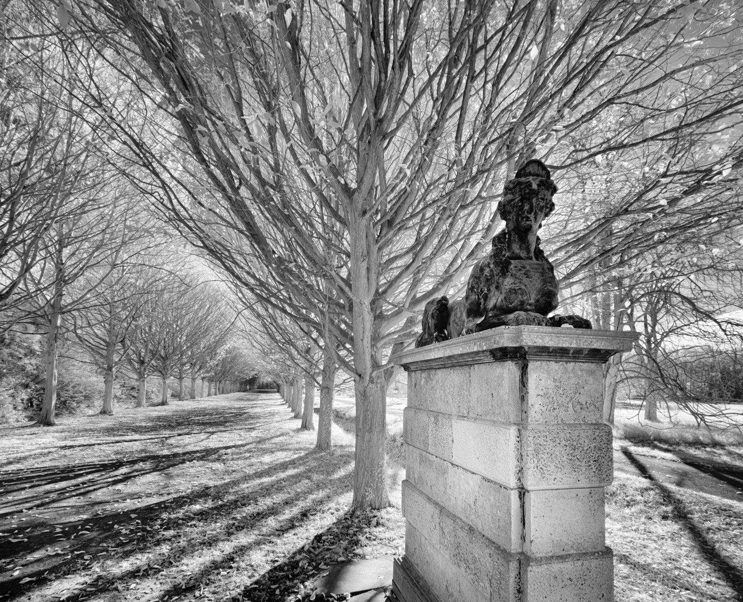 Autumn in another light 5 Club 1600 x 1200 sRGB.jpg