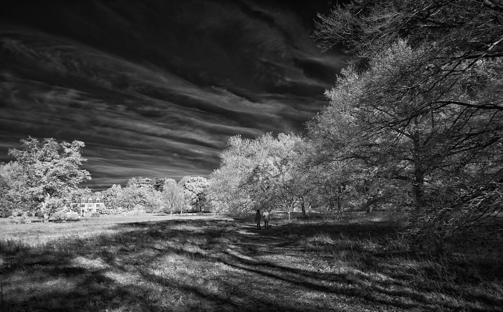 Autumn in another light 4 Club 1600 x 1200 sRGB.jpg