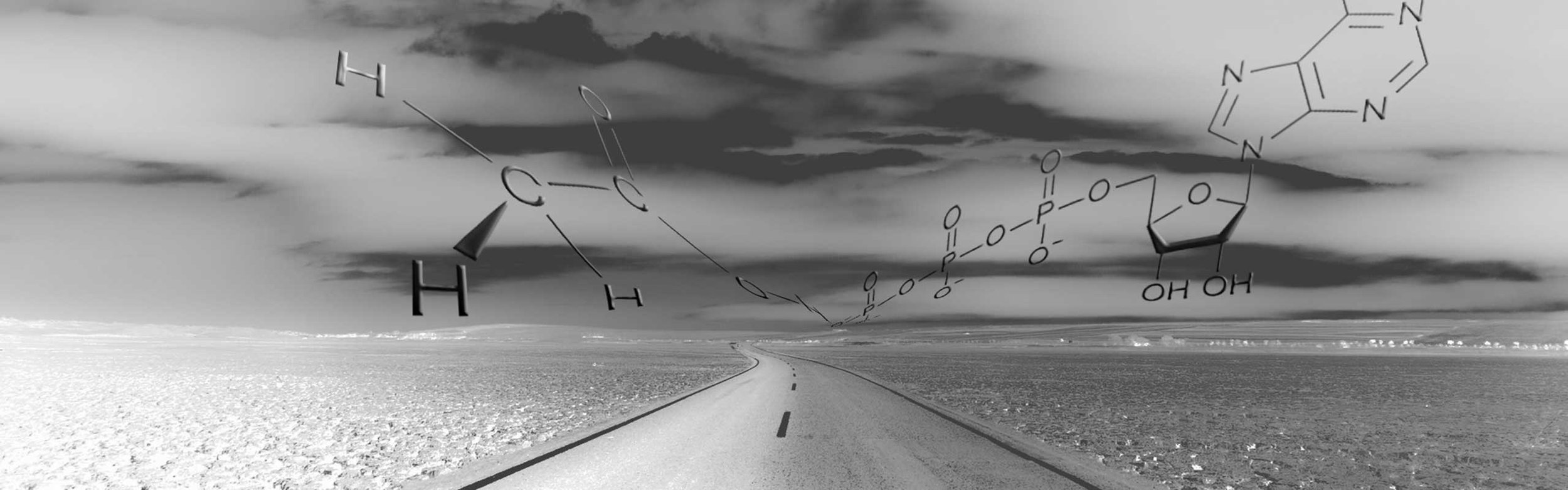 Highway Anti-666 - Chapter 8
