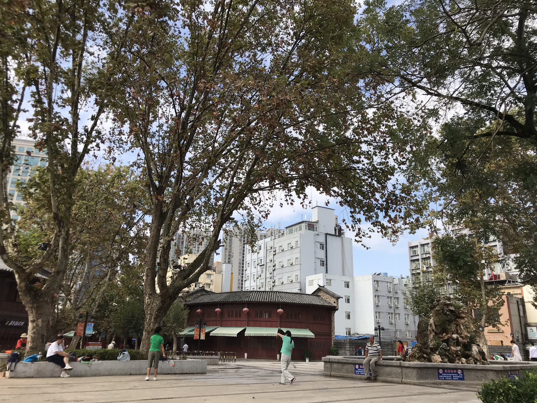 IMG_3411.jpeg