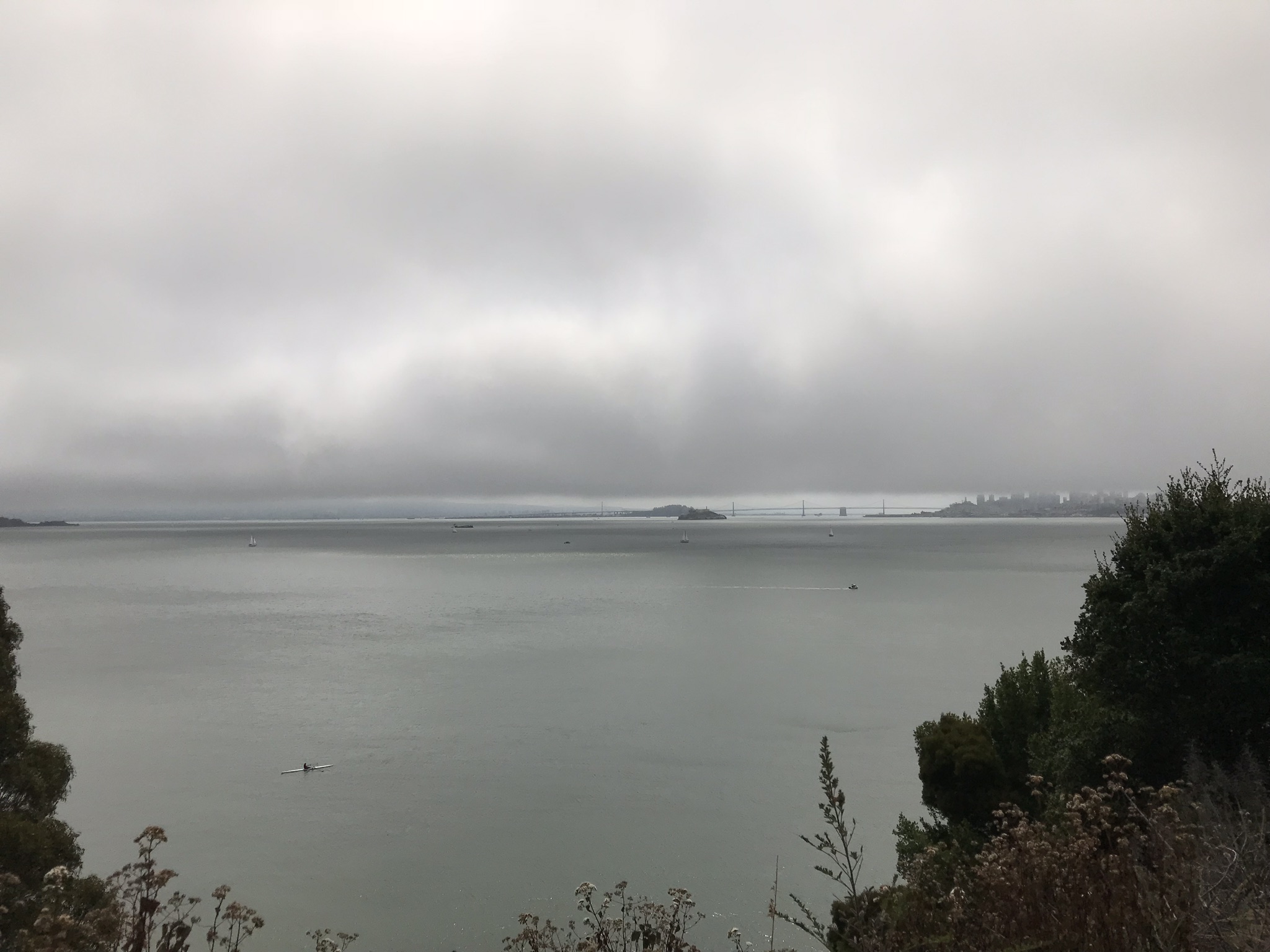 IMG_3257.jpeg