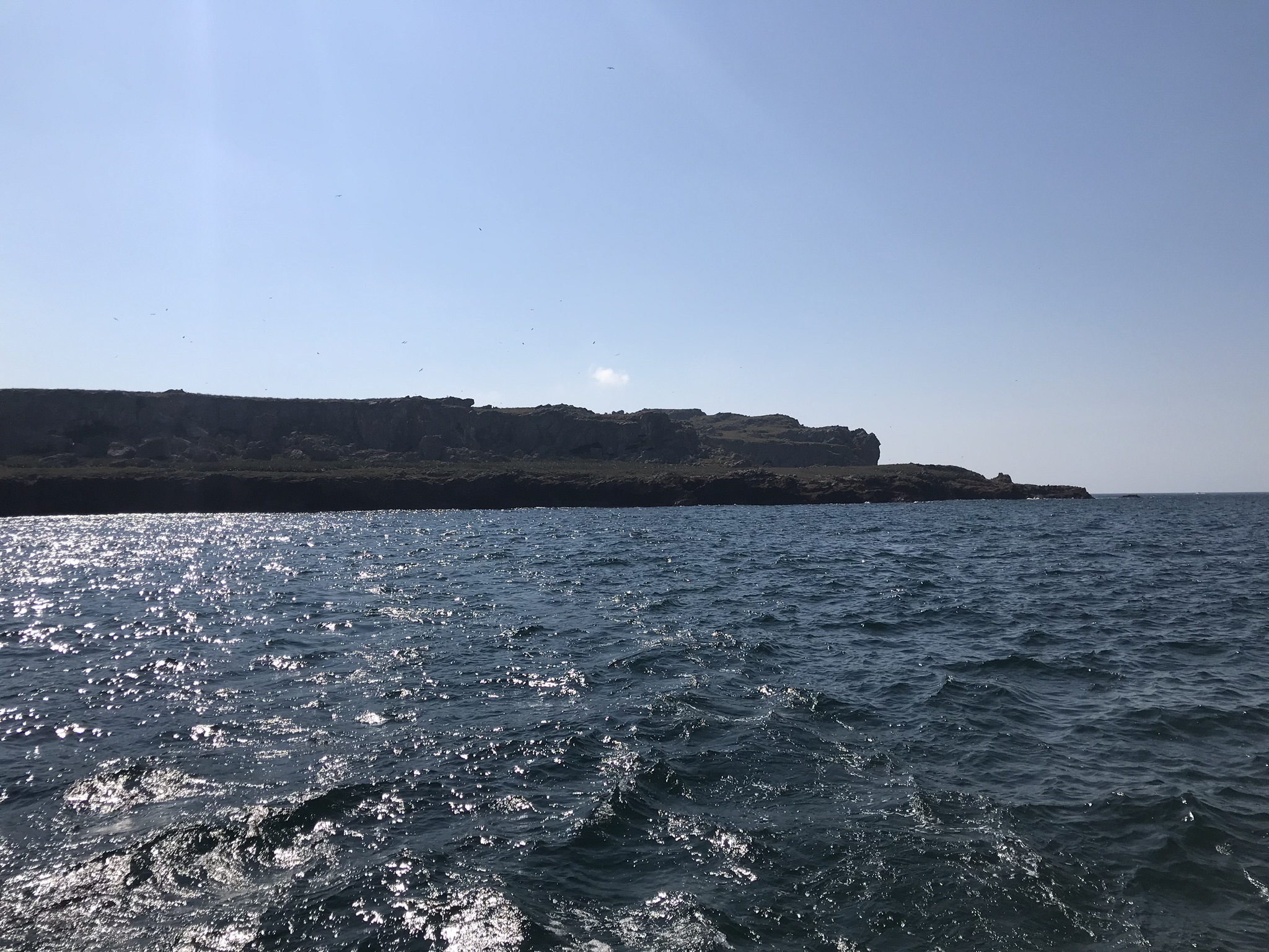 IMG_3098.jpeg