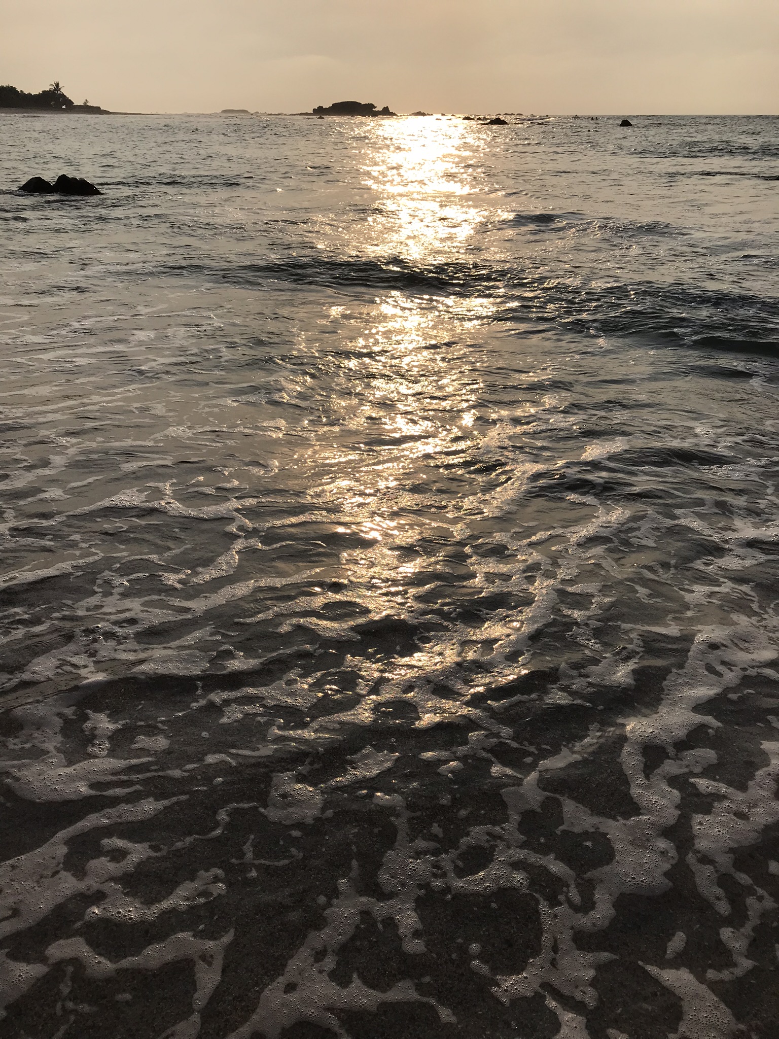 IMG_3001.jpeg