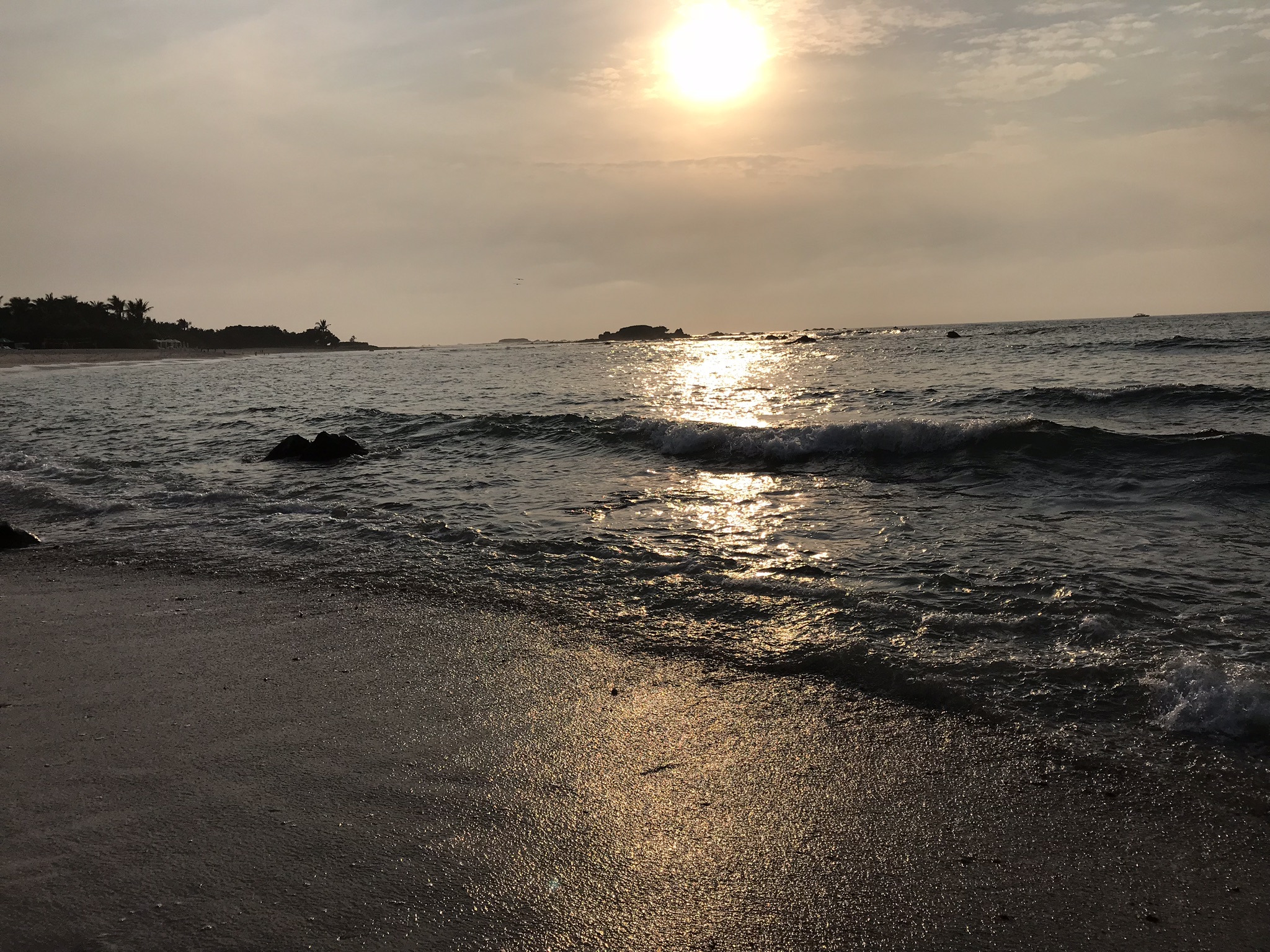 IMG_2994.jpeg