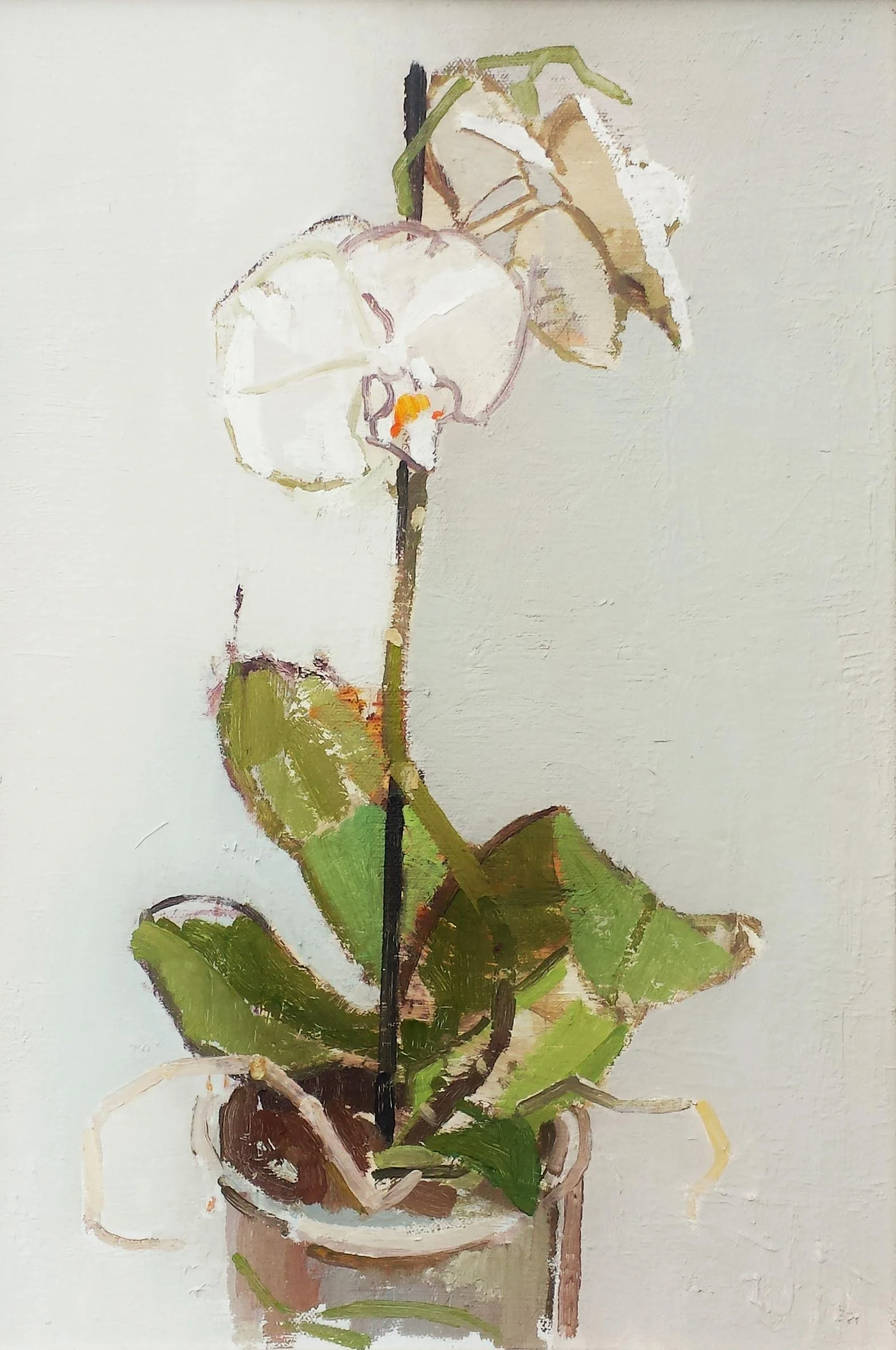 40 x 30 cm Orchid, Oil on Canvas