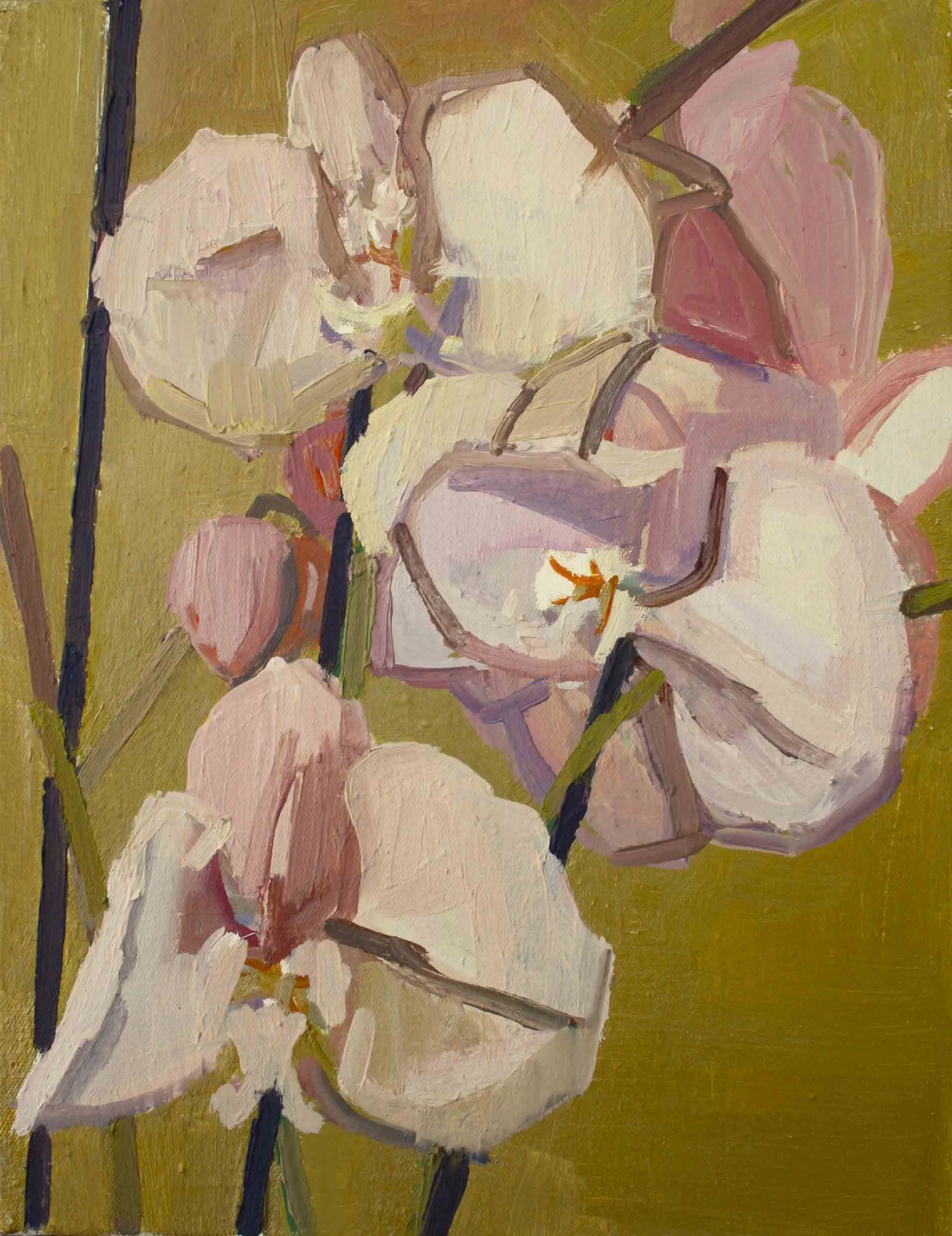 35 x 27 cm Pink Orchid I, Oil on Canvas