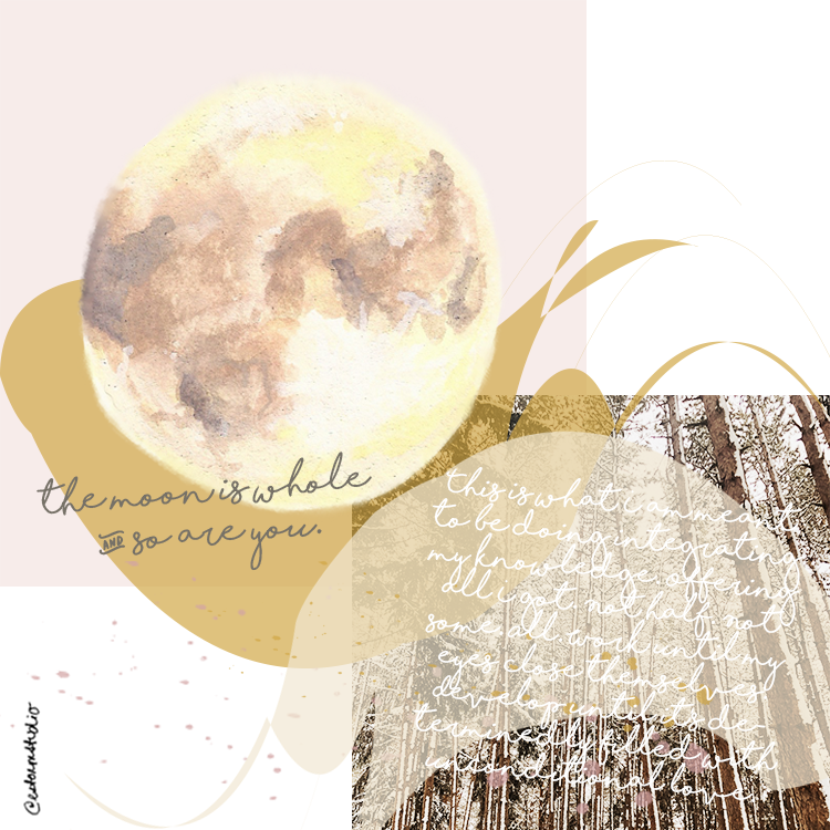 sag_moon_collage-copyright-estormstudio.png