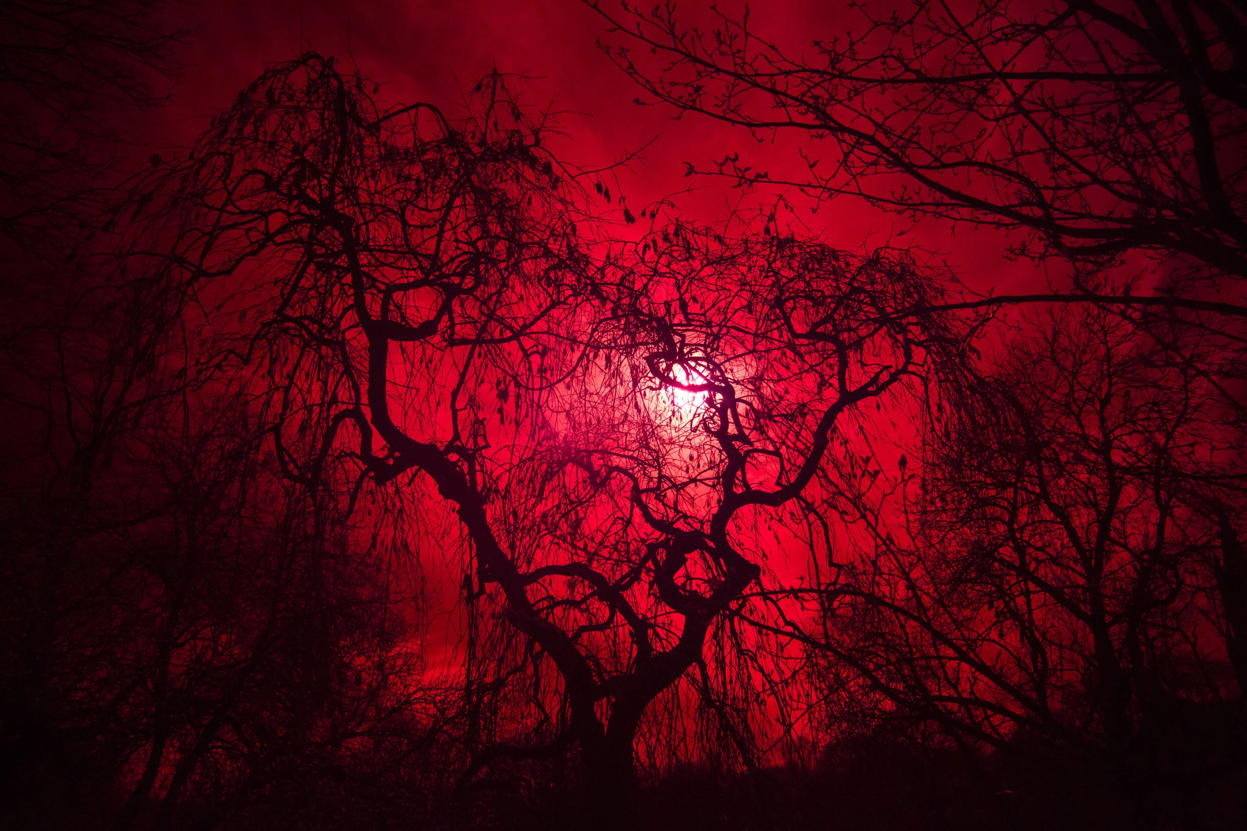 _75A1898 as Smart Object-1.jpg