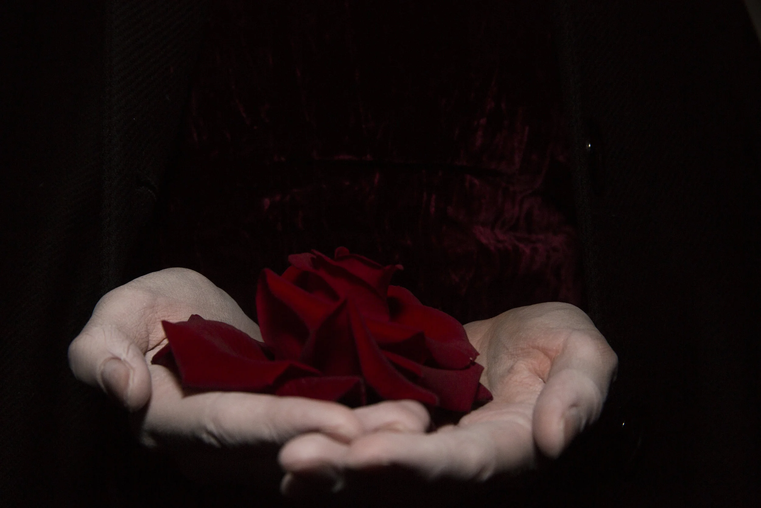 A75A1520 as Smart Object-1.jpg