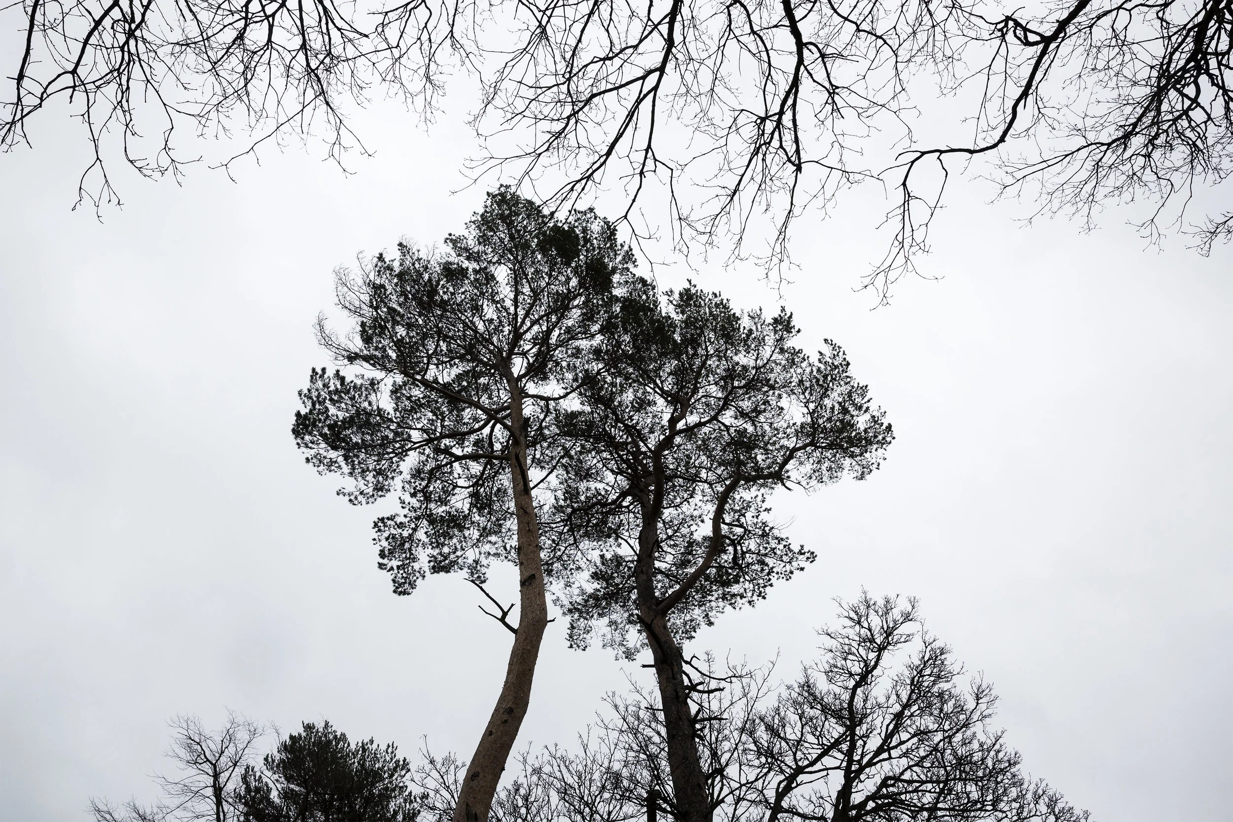 _75A8037 as Smart Object-1.jpg