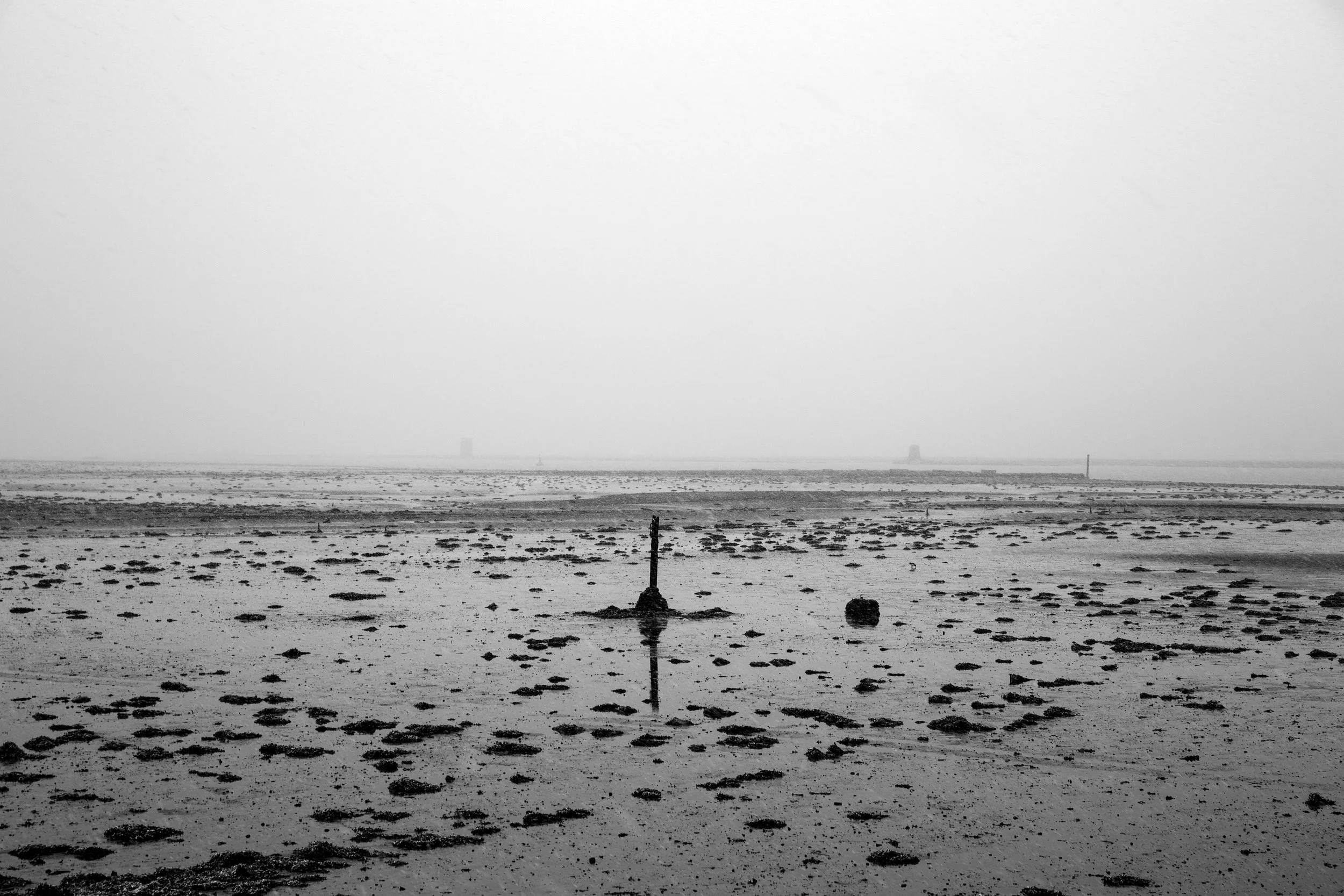 _75A7637 as Smart Object-1.jpg