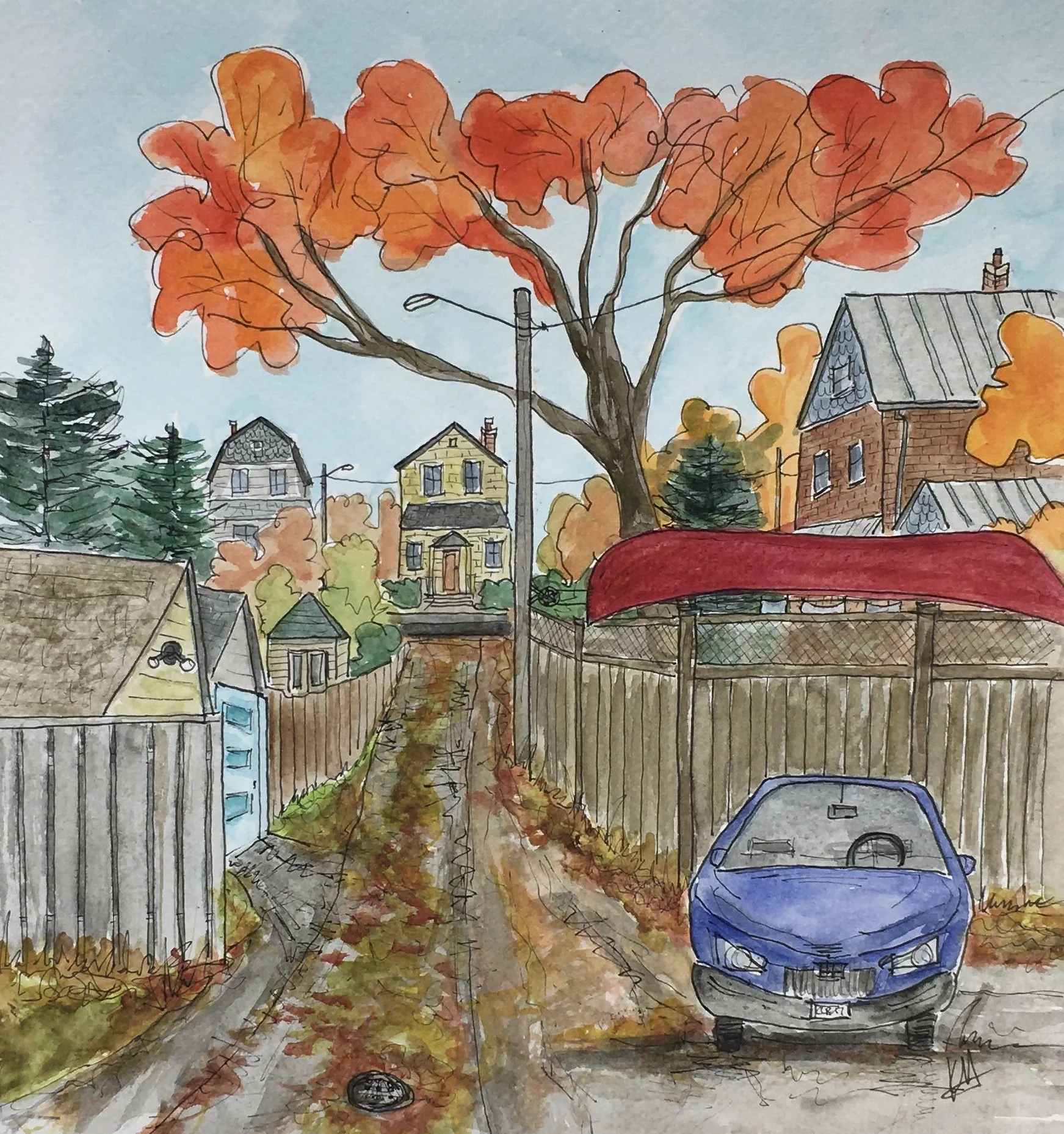 The Avenues in Autumn