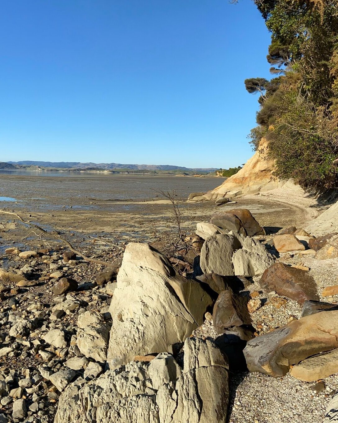 Cox's Bay at low tide, Raglan NZ