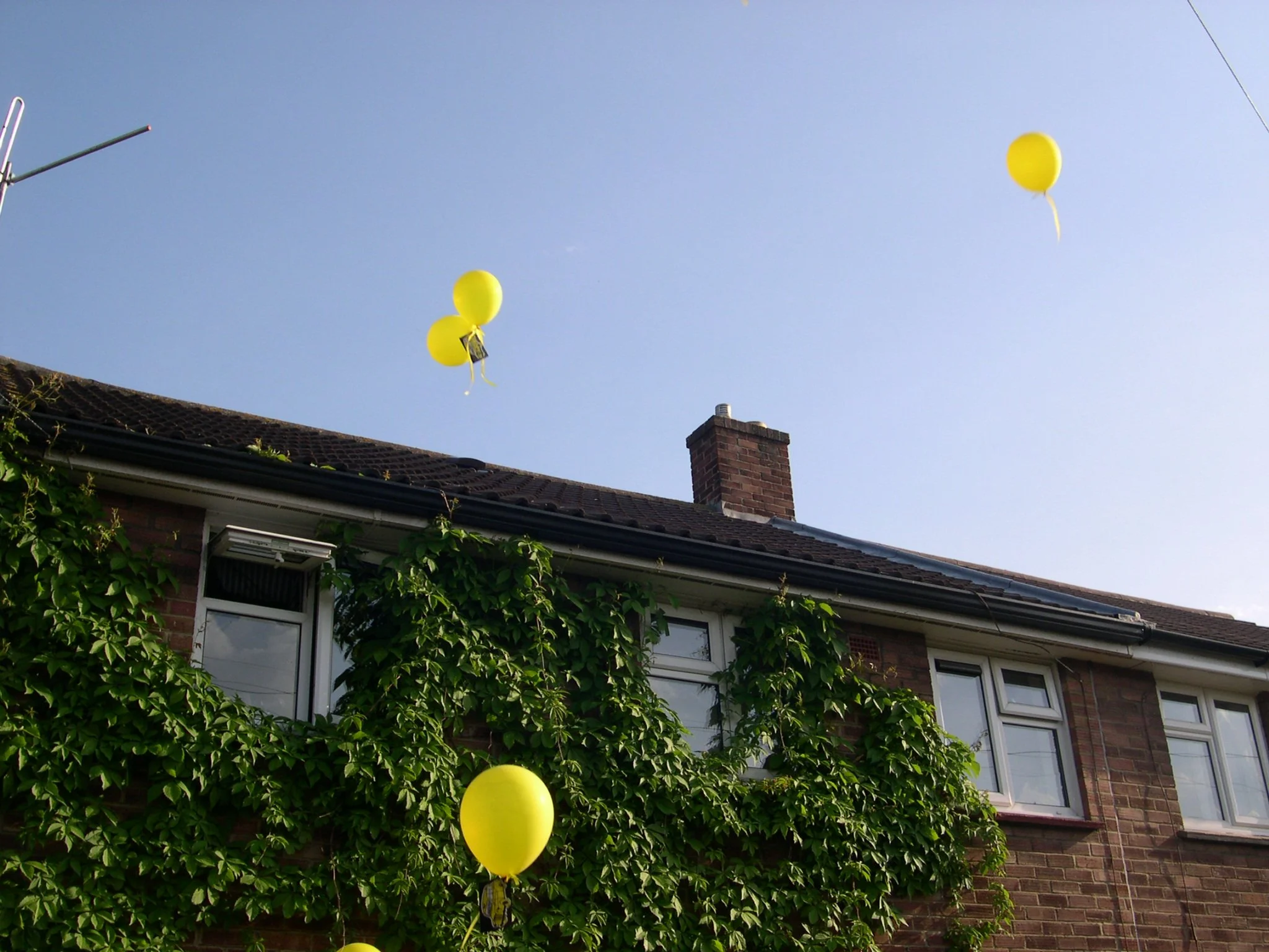 DSCN2659.JPG