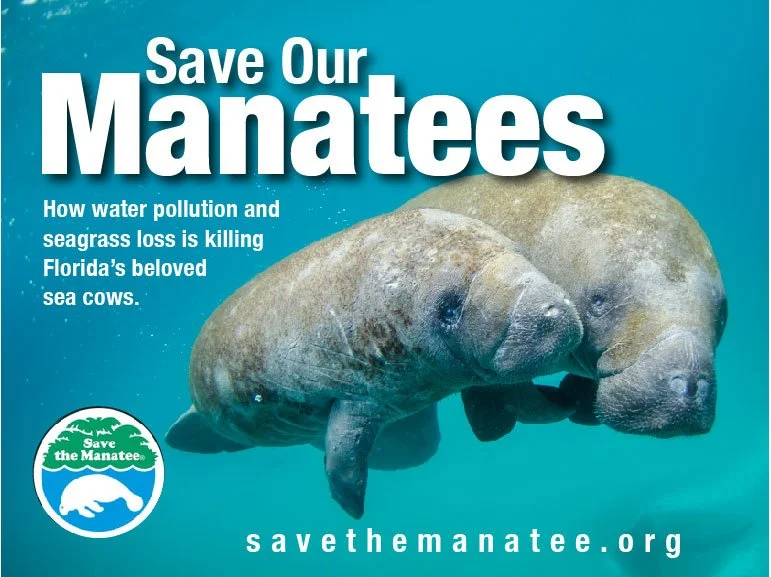 walking series [Recovered]-04.jpg