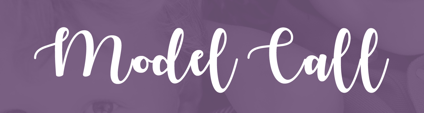 layout_02_model_header.png