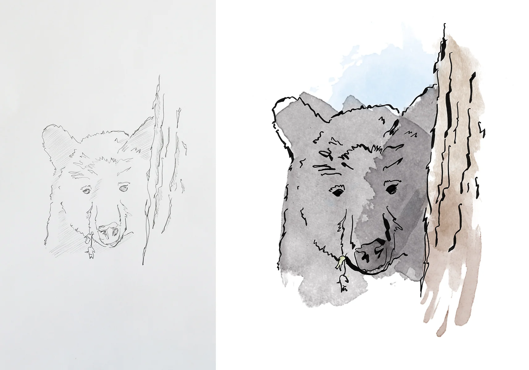 Bear3.jpg