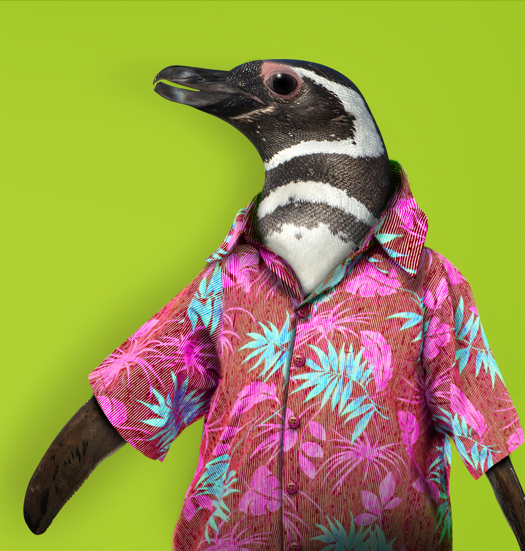 ZooSummer_thumb.jpg
