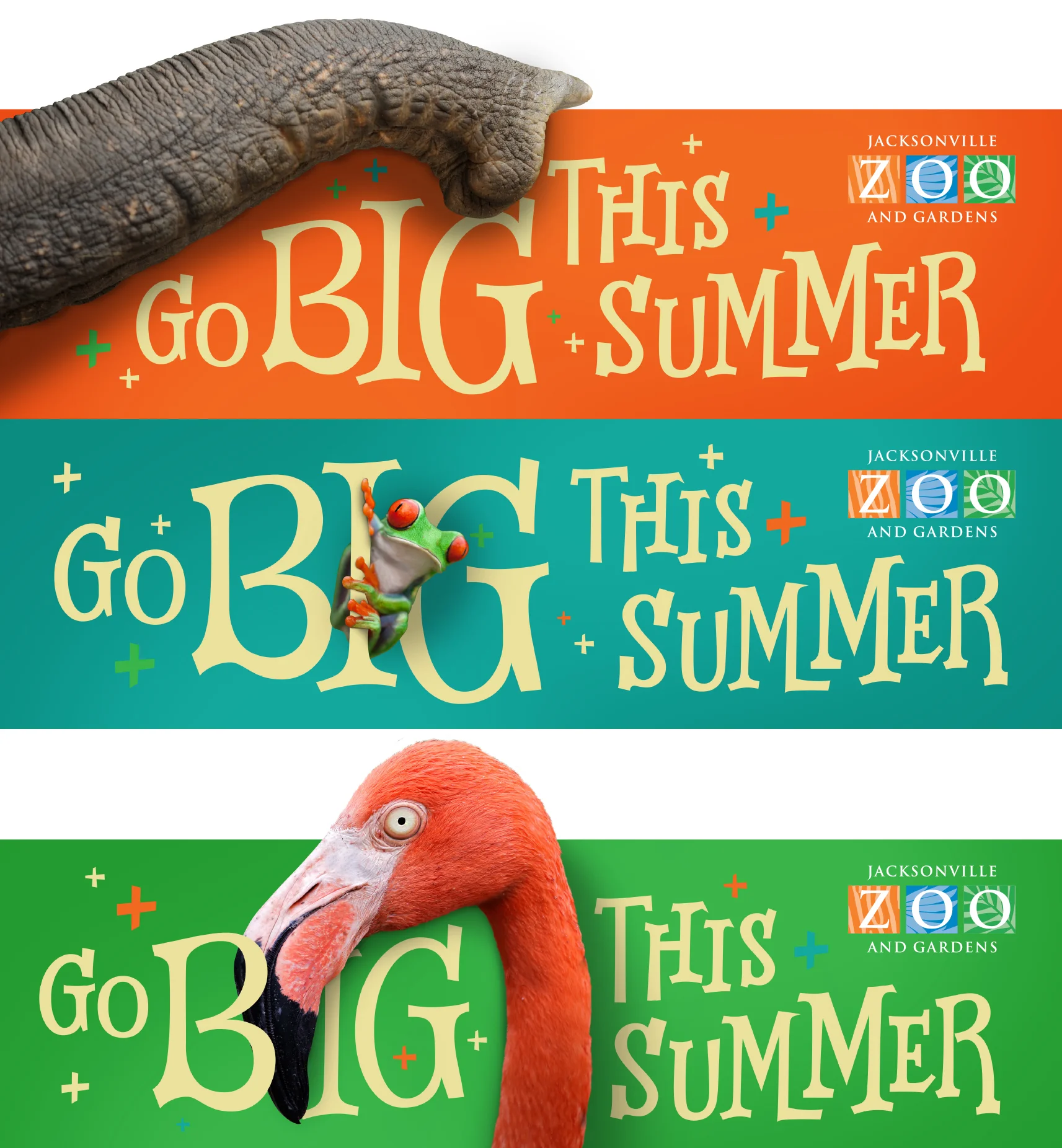 ZooSummer1.jpg