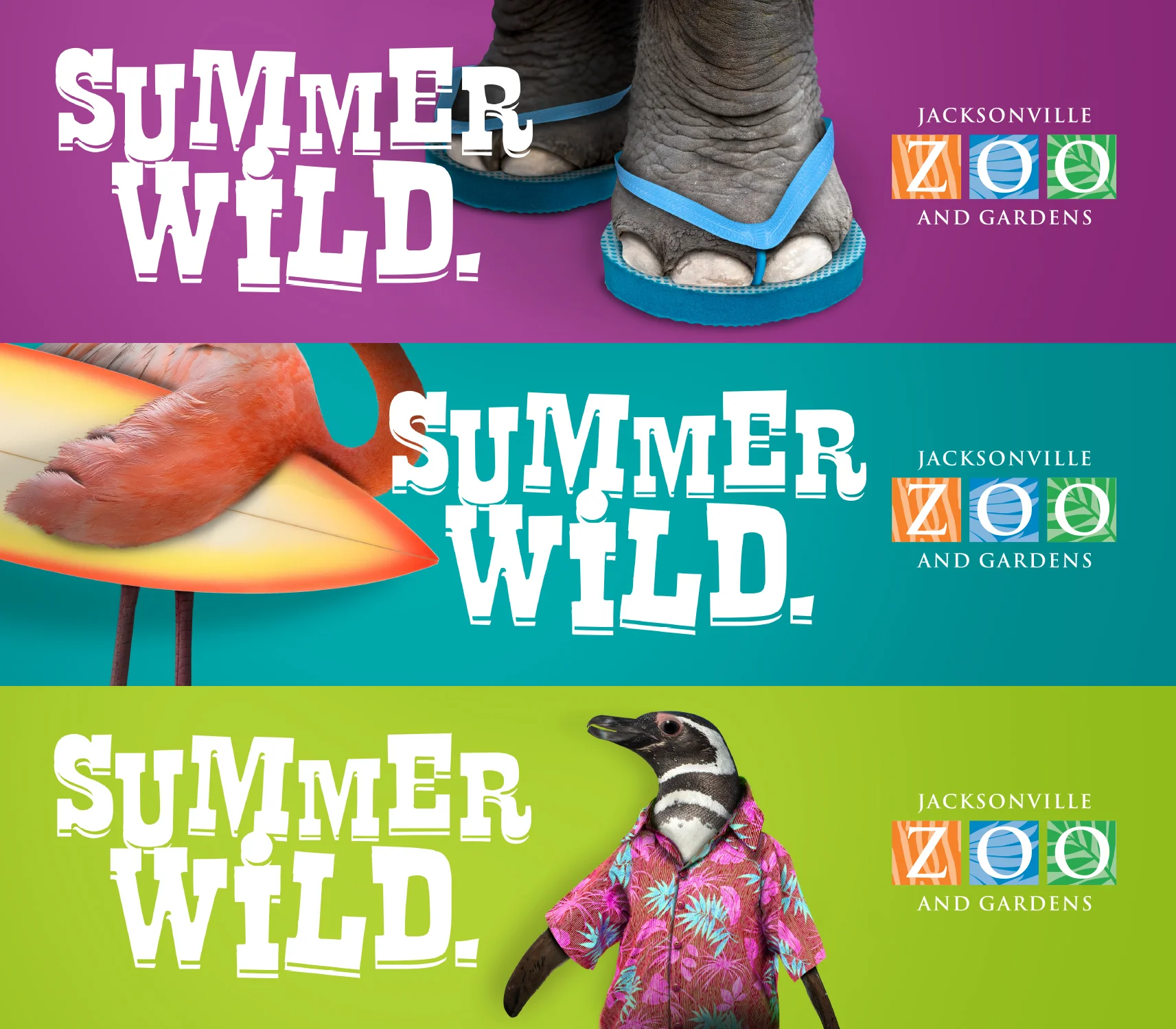 ZooSummer2.jpg