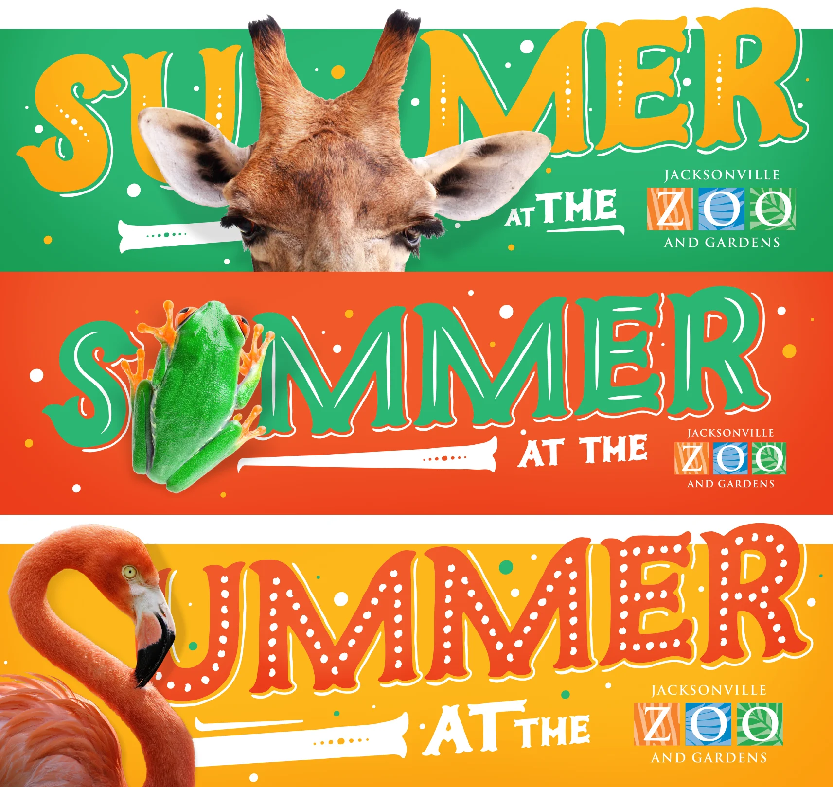ZooSummer3.jpg