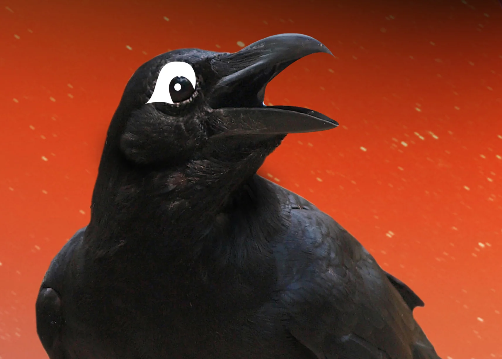 Spook2017_thumb.jpg