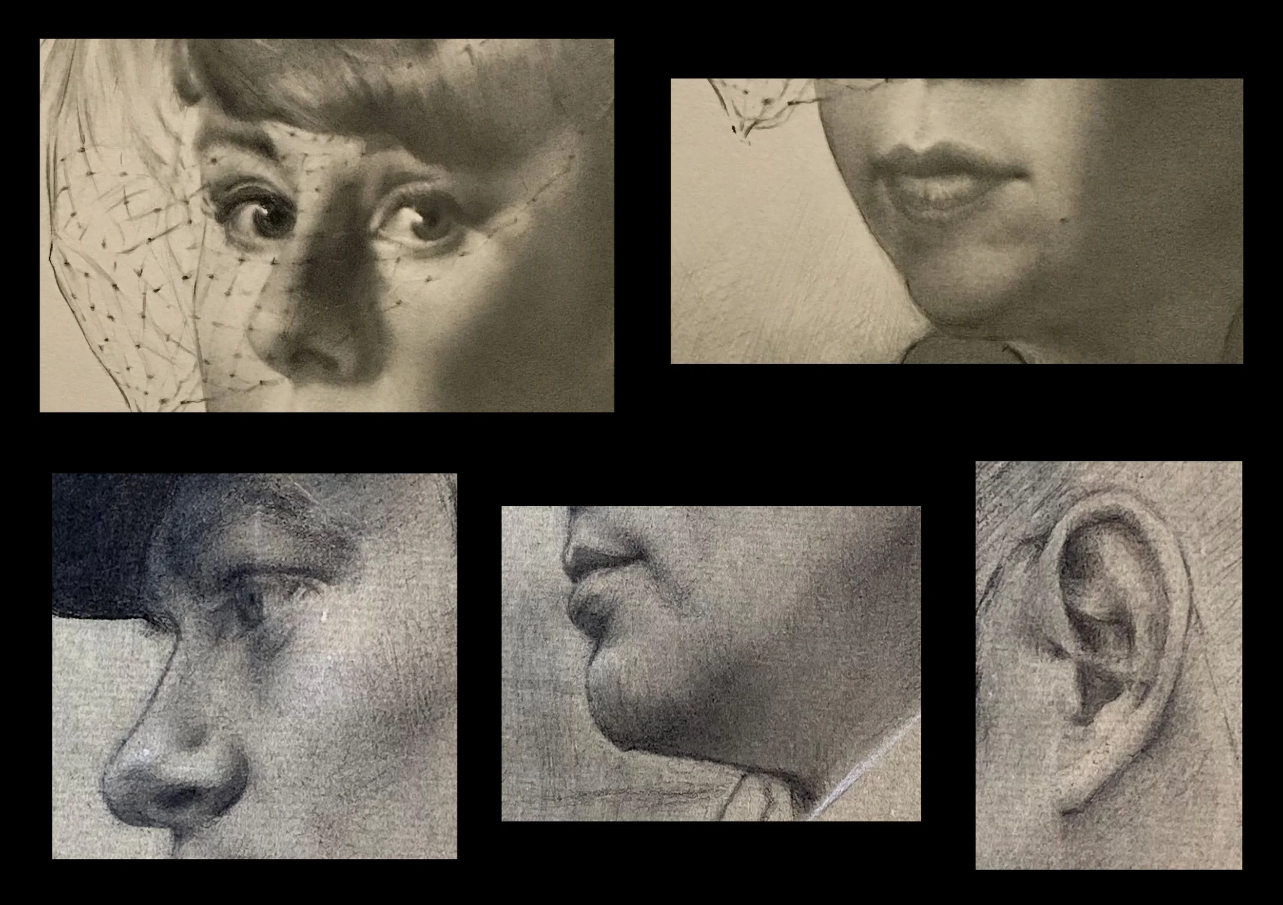 Features of the Face.jpg