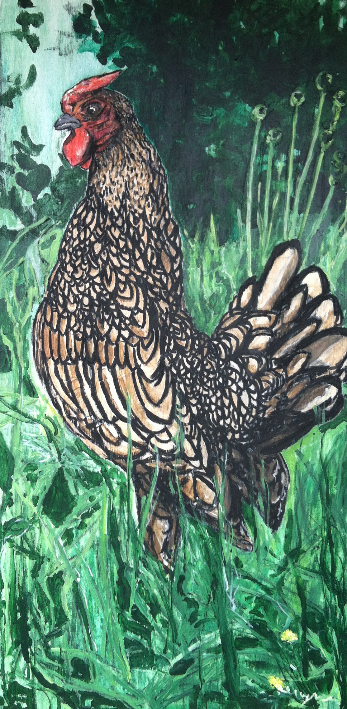 Rooster.jpg