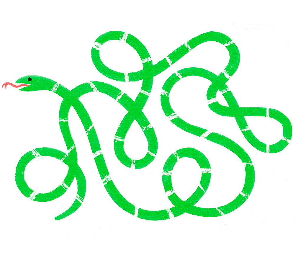 SNAKEY SNAKEY