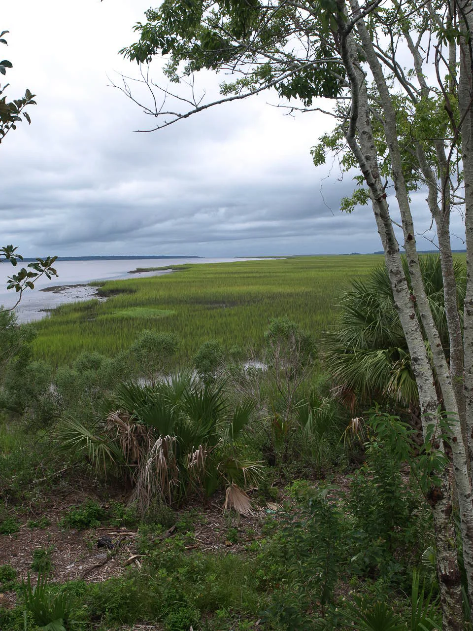 Broad River marshes,  Knowles Island, SC.JPG