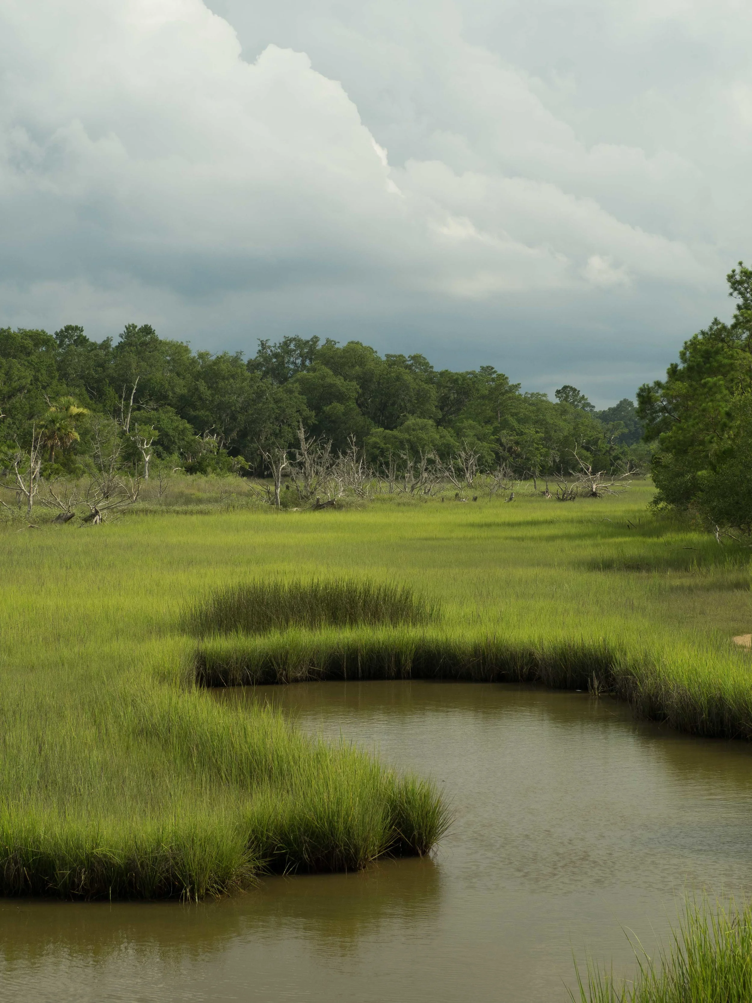 A peaceful view, Margaret's Island, SC.JPG