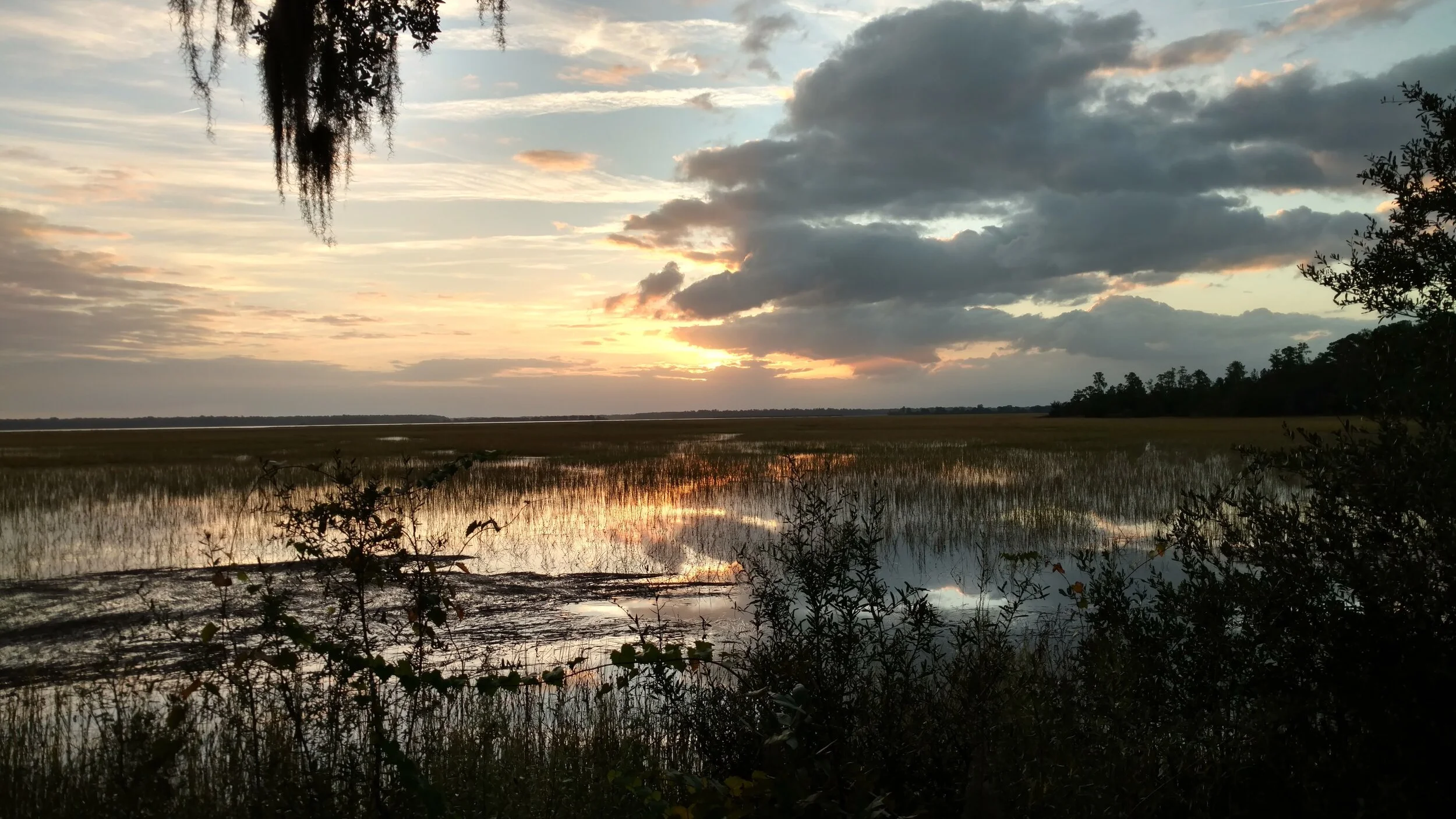IMG_20191025_074421546_HDR-EFFECTS (1).jpg