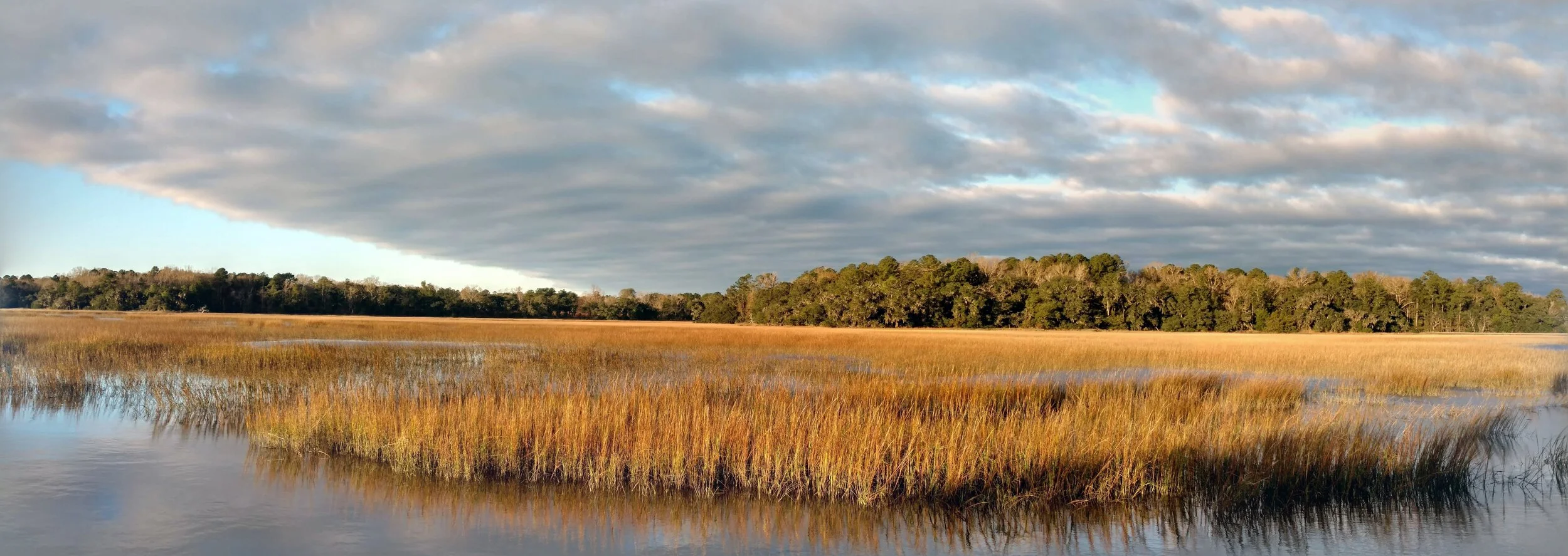 IMG_20190105_081240645_HDR-PANO (3).jpg