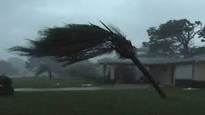bending palm.jpeg